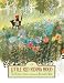 Books : Little Red Riding Hood