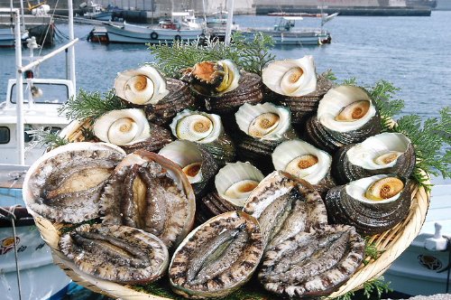 愛媛 佐田岬産 天然 赤アワビとサザエ 1500g 佐田岬漁師の贈り物 宇和海の幸問屋