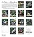 A Cat in the Garden 2016 Calendar