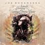 An Acoustic Evening At The Vienna Opera House (2CD)