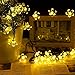 WishWorld Outdoor Solar Fairy String Lights, Waterproof Blossom Flower Light, 21ft 50 Led Christmas Lights Decorative Lighting for Indoor, Gardens, Party, Patio and Holiday Decorations(Warm White)