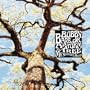 A Storm - A Tree - My Mother's Head