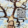 A Storm - A Tree - My Mother's Head