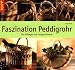 Faszination Peddigrohr: F&uuml;r Anf&auml;nger und Fortgeschrittene