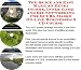 Book The Quick and Easy Make An Extra Income, Inner Game and Biz Networking for SCUBA Masks On-line Businesses 3 CD Course