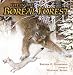 Life in the Boreal Forest (Hardcover) by Brenda Z. Guiberson