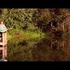 Dock Jump Video
