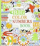 Big Color by Numbers Book