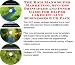 The Rich Man's Super Marketing, Success Principles and Inner Game for Diaper Cakes On-line Businesses 3 CD Pack