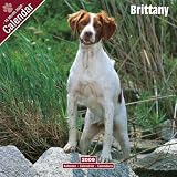 Eigenschaften Avonside Publishing Ltd.  / Kalender 2009 Brittany - Epagneul Breton