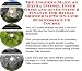 Book The Insider's Make An Extra Income, Inner Game and Accounting & Finance for Bridal Shower Gifts On-line Businesses 3 CD Course