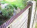 Fence and Wall Spikes - Brown