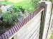 Fence and Wall Spikes - Brown