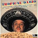 Tropical Dario