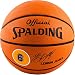 Spalding Lebron James Basketball (Brick) RS.1115.00