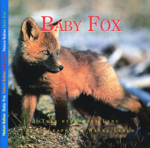 Baby Fox (Nature Babies)