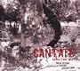 Cantate Napoletane del '700