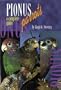 Pionus Parrots: A Complete Guide