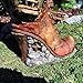 Georgetown Home and Garden Fiddlehead Fairy Victoria's Cottage