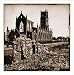 Civil War Photo (M): Charleston S.C. Roman Catholic Cathedral of St. John and St. Finbar (Broad and Lega