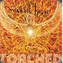 Torched