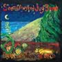Bluegrass in the Backwoods (Album Version)