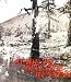 Books : Guide to Distance Running