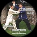 Tai Chi Application in Chen Old Frame Routine One‚ Part 2
