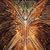 Focus [Expanded Edition]