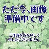 ゴーヤ 種 キン肉ゴーヤマンＧ 小袋（約１０粒）