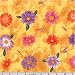 Flower of the Month September 07 Aster Amber