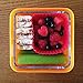 Frego 798304217278 Food Container, 2-Cup, Honeysuckle