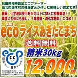 秋田県認定エコファーマーが作る安心と安全の検査一等米！！【ecoライスあきたこまち】精米30kg