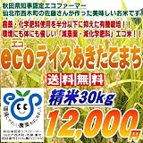秋田県認定エコファーマーが作る安心と安全の検査一等米！！【ecoライスあきたこまち】精米30kg