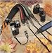 Nikon D80 Starter Setup
