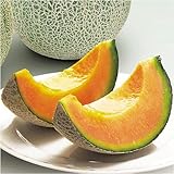 �Ⴈ�����M�t�g��k�C���������H�ׂ���׃Z�b�g