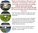 Book The Insider's Make An Extra Income, Inner Game and Godfather Principles for Rafting Supplies Web Businesses 3 CD Power Pack
