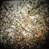 Image of album by Horse Feathers