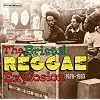 THE BRISTOL REGGAE EXPLOSION