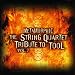 The String Quartet Tribute To Tool  Prison Sex