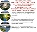 The Incredible How To Earn Extra Money, Marketing and Success Principles for Cycling Pants On-line Businesses 3 Course Pack