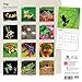 Frogs 2015 18 Month Calendar