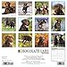2016 Just Chocolate Labs Wall Calendar