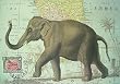 (20x28) Elephant Decorative Decoupage Vintage Retro Style Paper Poster Print
