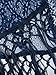 Choies Women's Crochet Lace Fringe Open Front Bating Sleeve Kimono