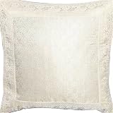 ShalinCraft Throw Pillows Case Protector in Silk 16x16 inches (bcbr227)
