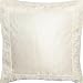 ShalinCraft Throw Pillows Case Protector in Silk 16x16 inches (bcbr227)
