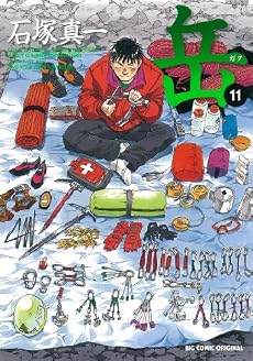 岳 みんなの山 11 (ビッグコミックス)