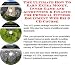 The Ultimate How To Earn Extra Money, Inner Game and Accounting & Finance for Physical Fitness Equipment Web Biz 3 CD Course