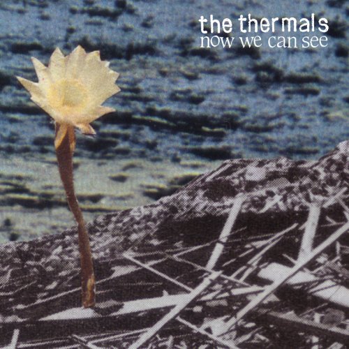 The Thermals   Now We Can See Album Review albumreviews